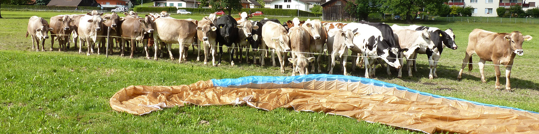 zuschauer-4zu1-p1020187.jpg
